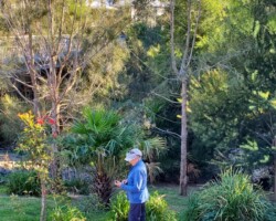 Ros at McCauley's Beach Estate (photo taken by Penny)