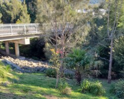 McCauley's Beach Estate