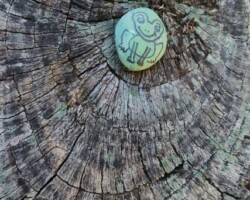 Coastal rambles - Irene Gomes