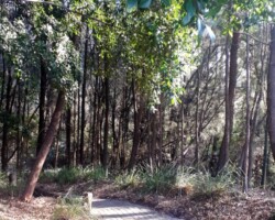 Ros Tierney was at Tom Thumb Lagoon this week