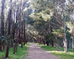 Ros Tierney was at Tom Thumb Lagoon this week