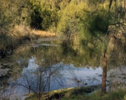 Tom Thumb lagoon walk - Penny and Ros