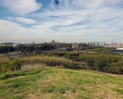 Tom Thumb Lagoon walk - Penny and Ros. View from the hill across car storage and steelworks.