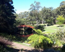 Penny and Ros's ramble today which included the Uni, the Botanic Gardens, Nyrang Park and Wisemans Park