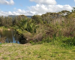 Bellambi Lagoon. Ros and Penny - an enjoyable walk along the beach from Towradgi.