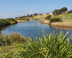 Bellambi Lagoon. Ros and Penny - an enjoyable beach walk from Towradgi.