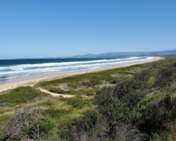 Port Kembla beach