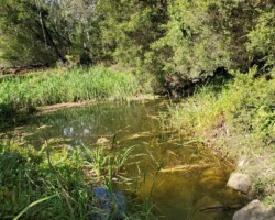 Trish and Penny - Integral Energy Park