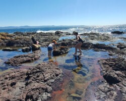 Irene Gomes has been babysitting her grandkids, this time exercising along the waters edge at Shellcove.