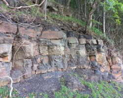 Janelle and Kay's walk today - O'Brien's Trail and Mt. Nebo.