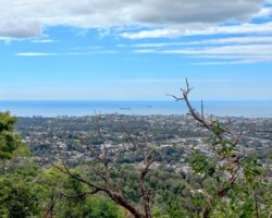 Janelle and Kay's walk today - O'Brien's Trail and Mt. Nebo.