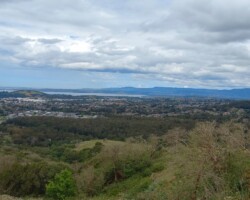 Janelle and Kay's walk today - O'Brien's Trail and Mt. Nebo.