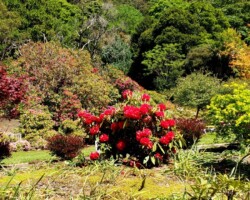 Trish and Penny at the Rhododendron Gardens