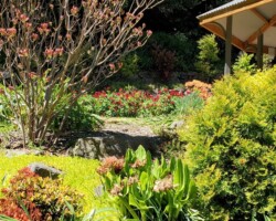 Trish and Penny visited the Rhododendron Gardens