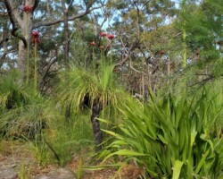 John, Steve and Penny walked up Mount Mitchell