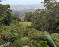 Byarong Park to Robertson Lookout - Chris, Anne, Robyn and Penny