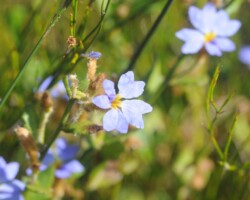 Cindy and Stuart live in Kiama and visited Barren Grounds last Sunday