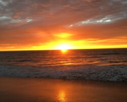 Woonona Beach , Dawn walk, Judy Engall