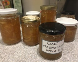 Judy Engall has been preserving
her abundance of Tahitian limes.