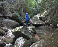 Upper Falls Byarong Creek Mt Keira, Athalie Martin