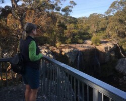 Robyn and Judy were at Dharawal NP & Maddens Falls today
