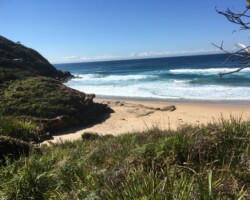 Robyn and Anne were at Burning Palms yesterday