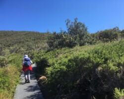 Robyn and Anne were at Burning Palms yesterday