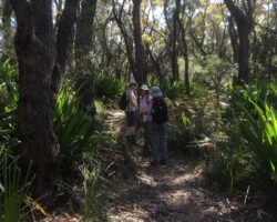 Robyn with Anne and Chris with Michelle. were on a Sublime Point walk on another beautiful day.
