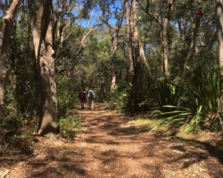 240921 Robyn was on a Burning Palms walk with Anne, Chris, Jim& Krish.