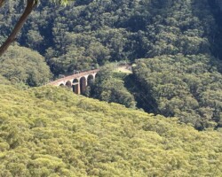 A few photos from today’s walk( 3/10/21) on the Forest Path by Robyn with Anne, Michelle & Chris.