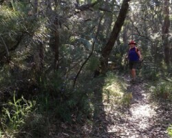 Some photos from Robyn on yesterdays walk with Judy on the way to Burning Palms