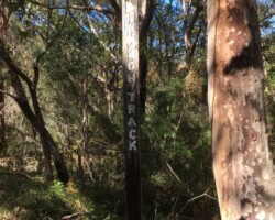 Some photos from Robyn on yesterdays walk with Judy on the way to Burning Palms