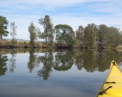 Judy Engall was refleting at Mullet Creek