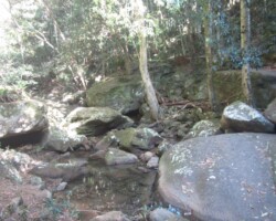 Judy took a picture of Stanwell Creek while walking the Wodi Wodi Track with Robyn.