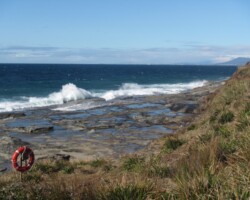 Judy and Robyn walked at Bulgo Beach