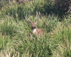 Judy and Robyn walked at Bulgo Beach