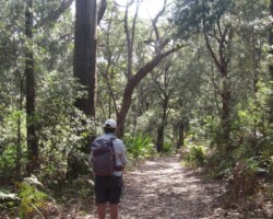 Robyn and Judy encountered a cute echidna whilst on the Lilyvale rack today