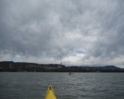 Judy sighted a relaxed seal on apaddle from Tallawarrah.