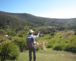 6 Oct: Robyn and Judy walked at Helensburgh Ridge, and spotted a swamp wallaby.