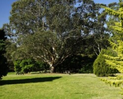 Russ Verdon, had a walk through Wollongong Botanic Gardens