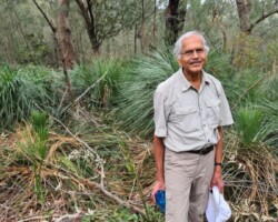 Jim and Krish on the forest path yesterday - enjoying the Gymea lillies and grass trees
