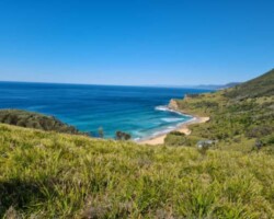 Jim's pics from the Burning Palms walk