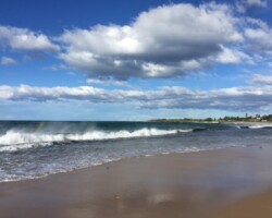Sergio and Penny
Windy walk on Towradgi Beach2