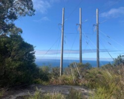 Kay Elliot says "The only reasonable response is to go bushwalking".