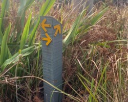 Kay Elliot says "The only reasonable response is to go bushwalking".