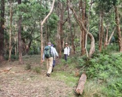 A series of navigation exercises. After tuition, use a map and compass (supplied) to navigate to a set position. The course is triangular and off track. Each participant will lead the group on one of the legs. Each leg is 600 to 800 metres with a total of 2 kms. Expect some steep up and down hill. A sense of accomplishment will be the outcome.