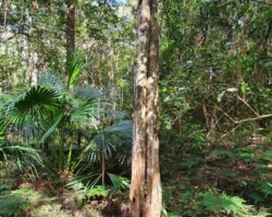 Pam H "What a great time we had! Learnt so much about finding our way and the history of Mount Kembla! Thanks to Greg!"