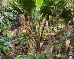 Walk: Navigation Exercise, Mt Kembla - 30 Oct 2021