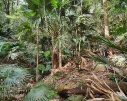 Walk: Navigation Exercise, Mt Kembla - 30 Oct 2021