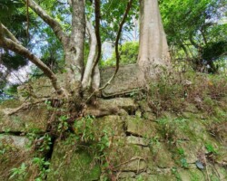 Walk: Navigation Exercise, Mt Kembla - 30 Oct 2021